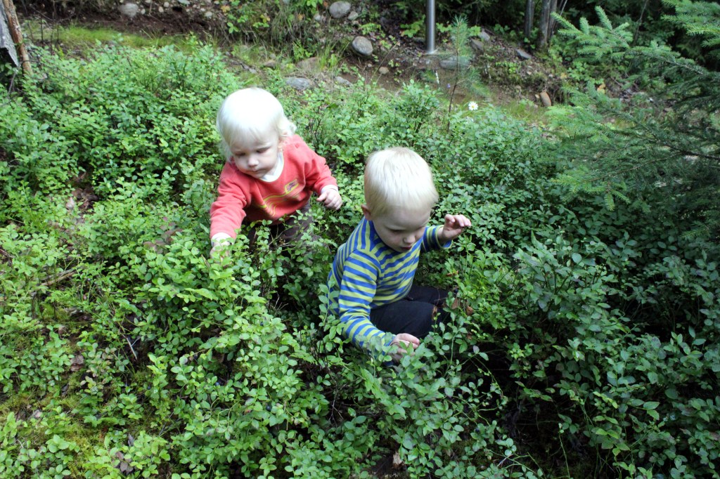 PIKKUPOJAT MUSTIKASSA