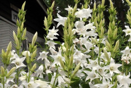 epävakaista – sadekuuroja –&nbsp;koleaa