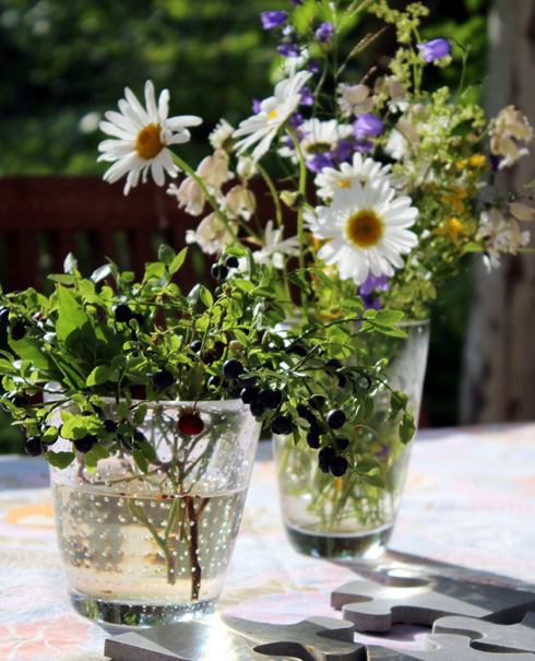 KESÄMUSTIKOITA JA KESÄKUKKIA