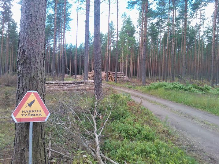 METSÄNHAKKUU KÄYNNISSÄ