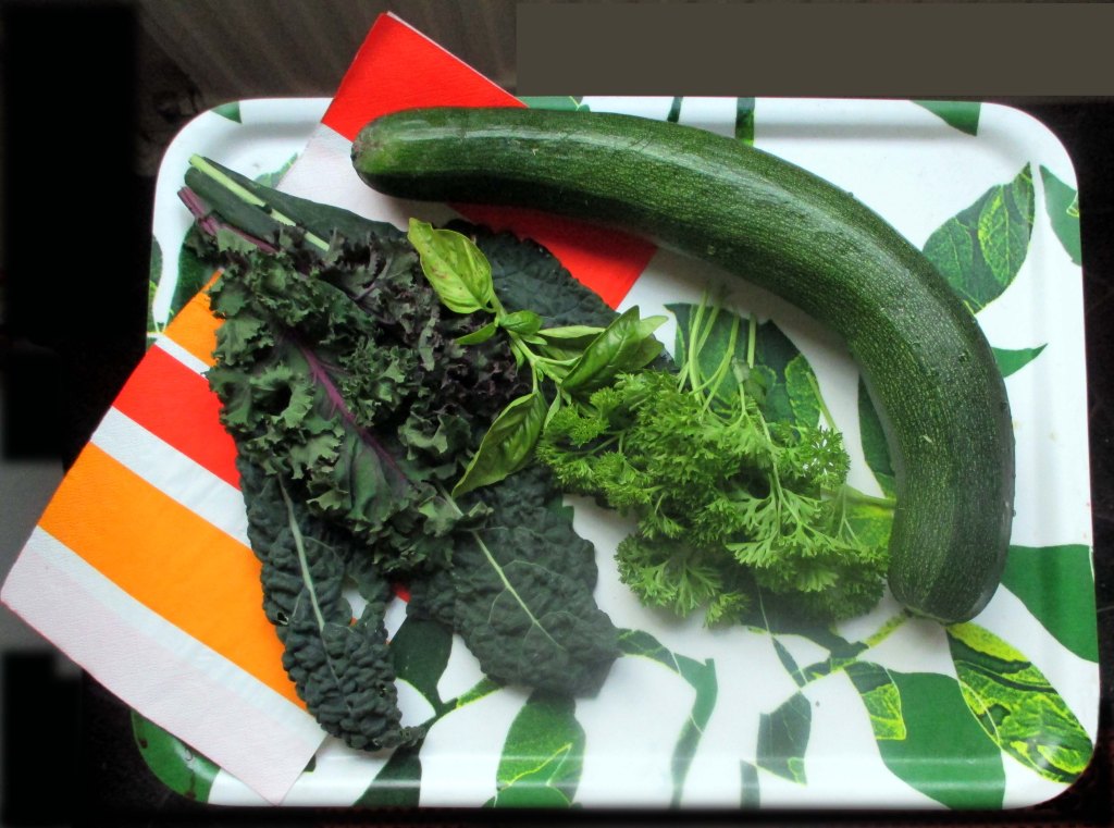 SATOA LAURAN JA MIIKAN KASVIMAALTA