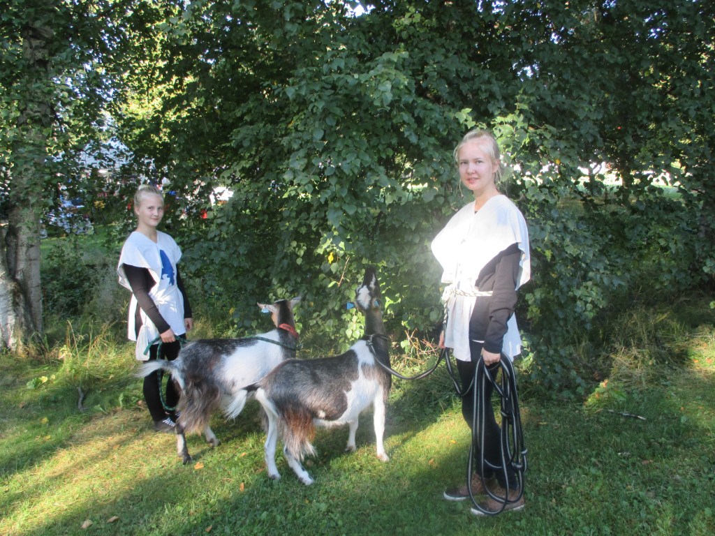 VUOHET AAMUPALALLA TORIKOJUMME VIERELLÄ