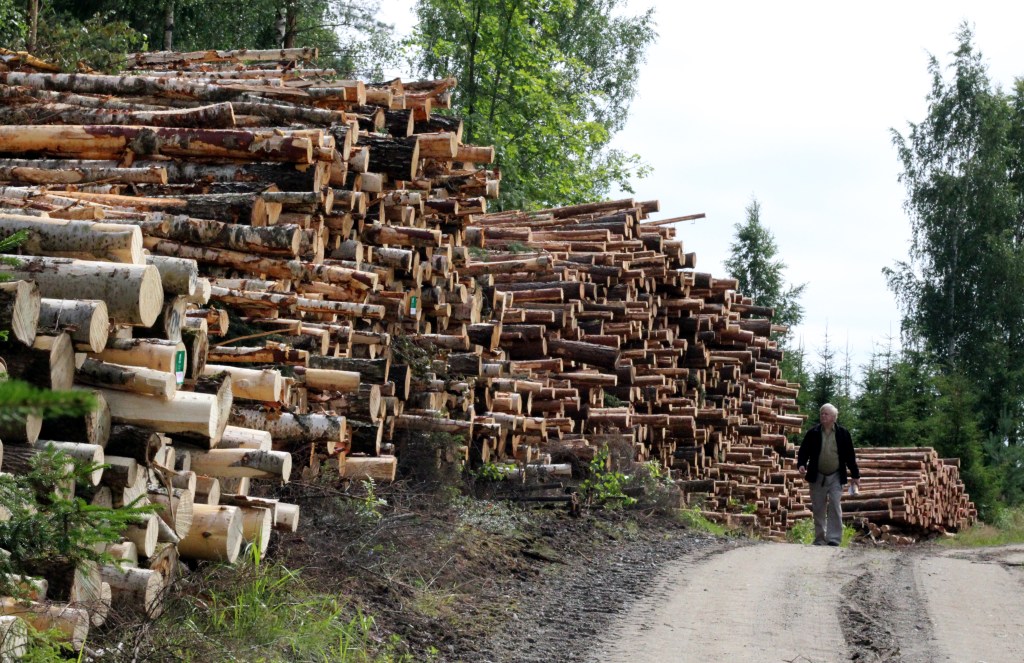 MAISEMA MUUTTUU HAKKUIDEN MYÖTÄ