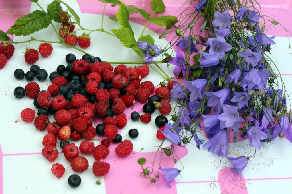 VADELMANPUNAISTA JA SINIKELLOJEN SINISTÄ