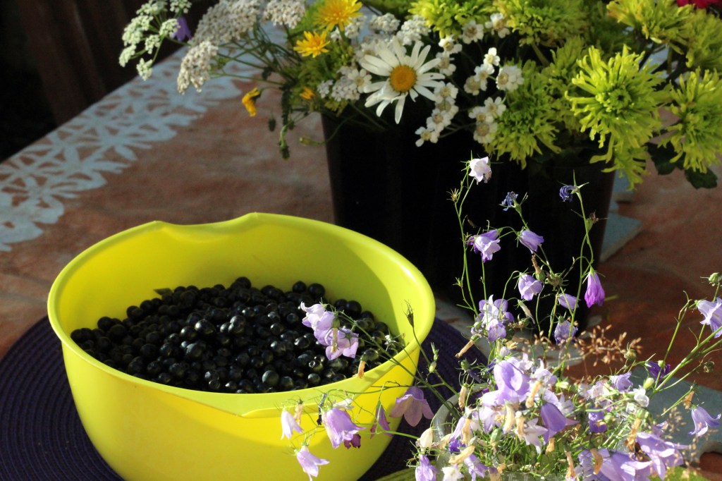 JUSSI POIMI ISOJA MUSTIKOITA