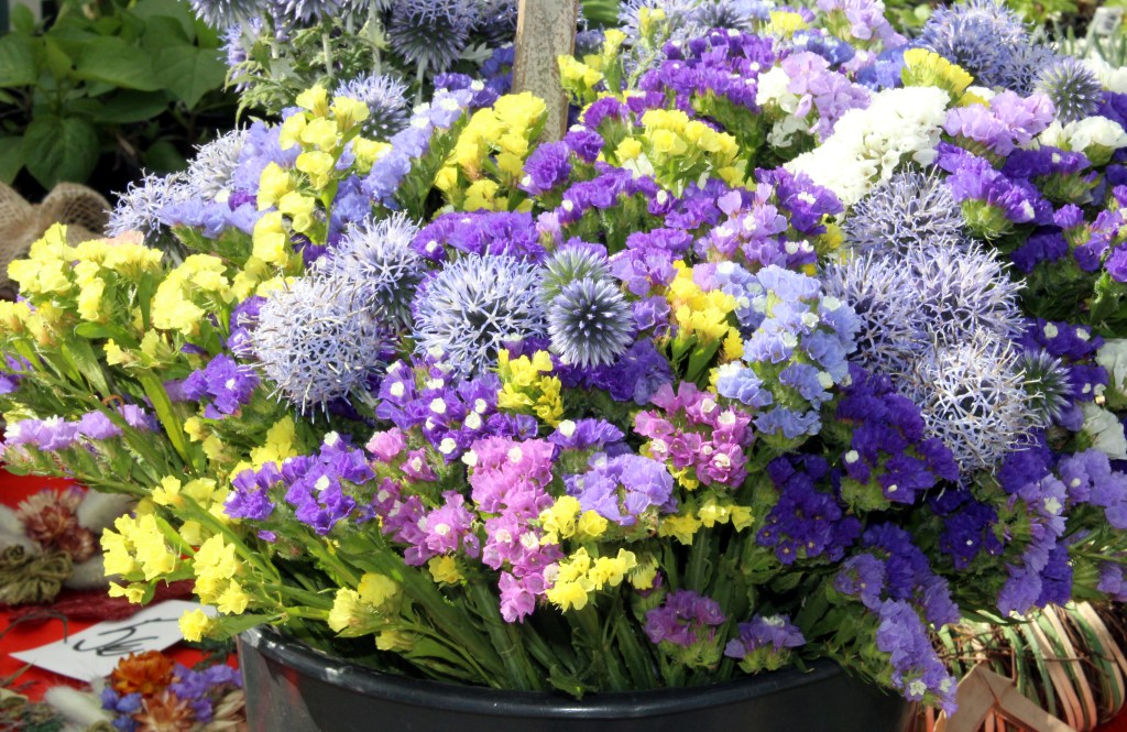 IKIKUKKIA TALVEN ILOKSI