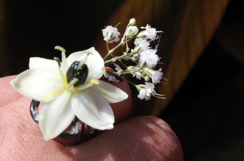 FLORISTI-OPPILAAT SOLMIVAT KUKKASORMUKSIA