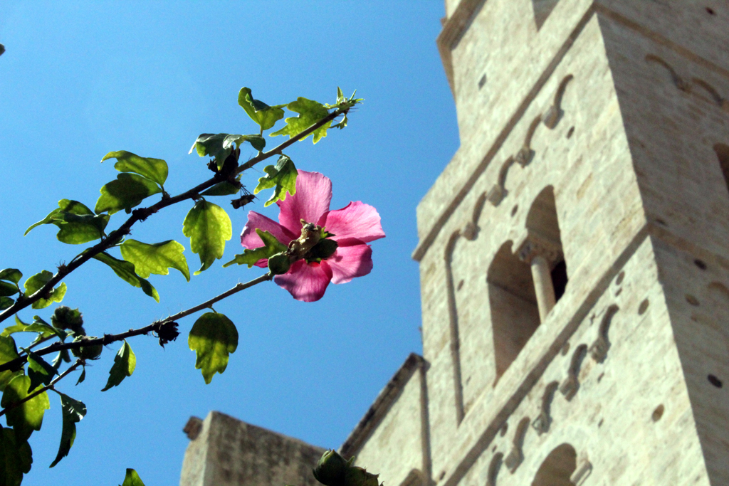 KIINANRUUSUJA KIRKON EDESSÄ