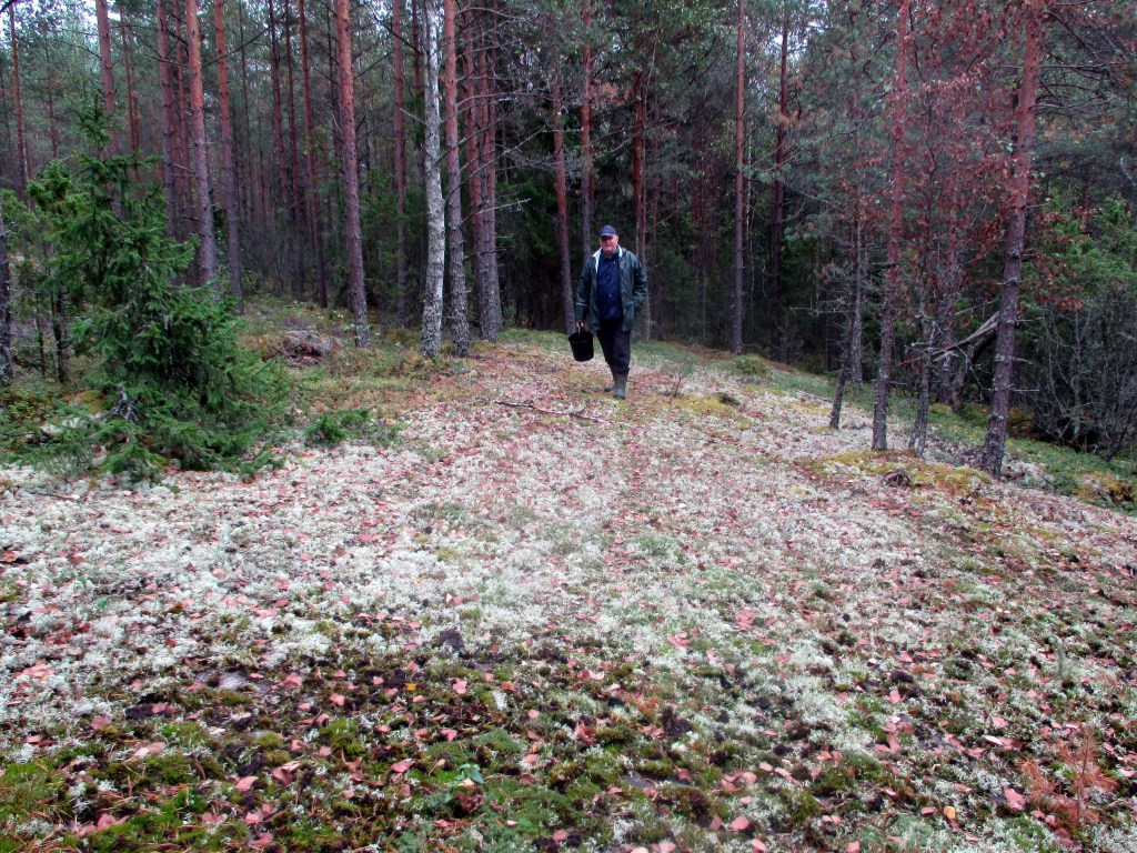 SYNTYMÄPÄIVÄSANKARI VARAUTUI ÄMPÄRIN KERA SIENISAALIISEEN - TURHAAN
