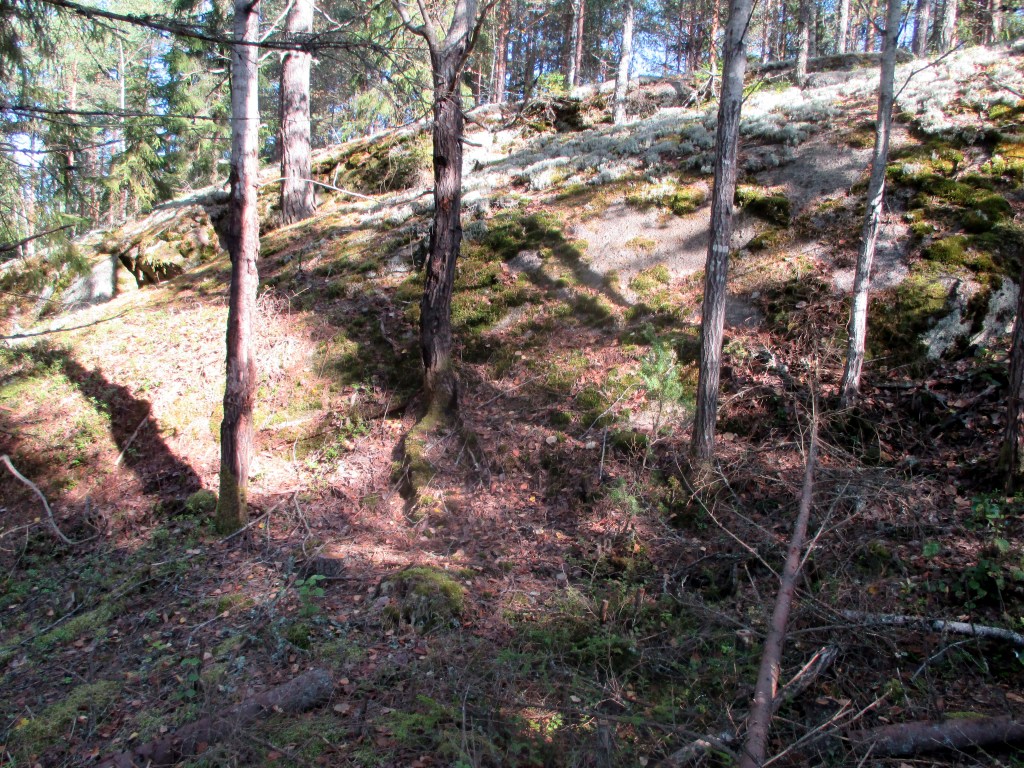 KALLION JUURESTÄ LÖYTYY AINA - PAITSI NYT - SUPPILOVAHVEROITA