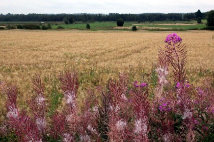 syksy tuli syyskuun&nbsp;alussa