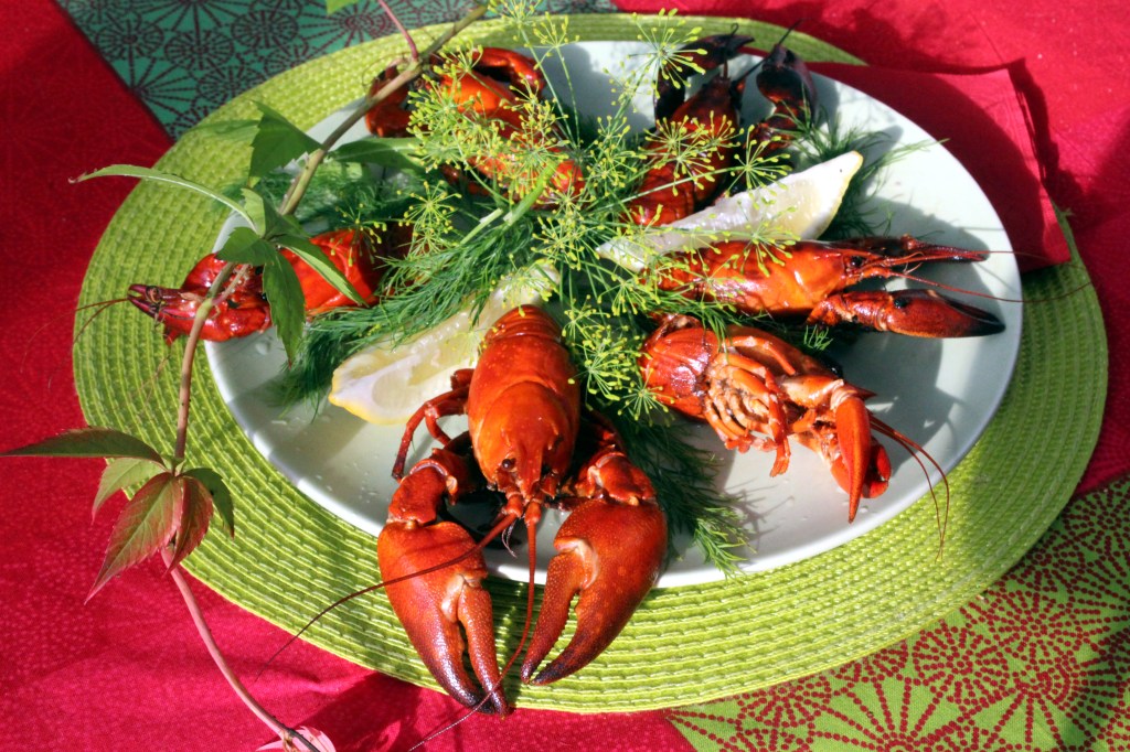 RAPULAUTANEN ODOTTAA ILLAN SYNTYMÄPÄIVÄJUHLIA