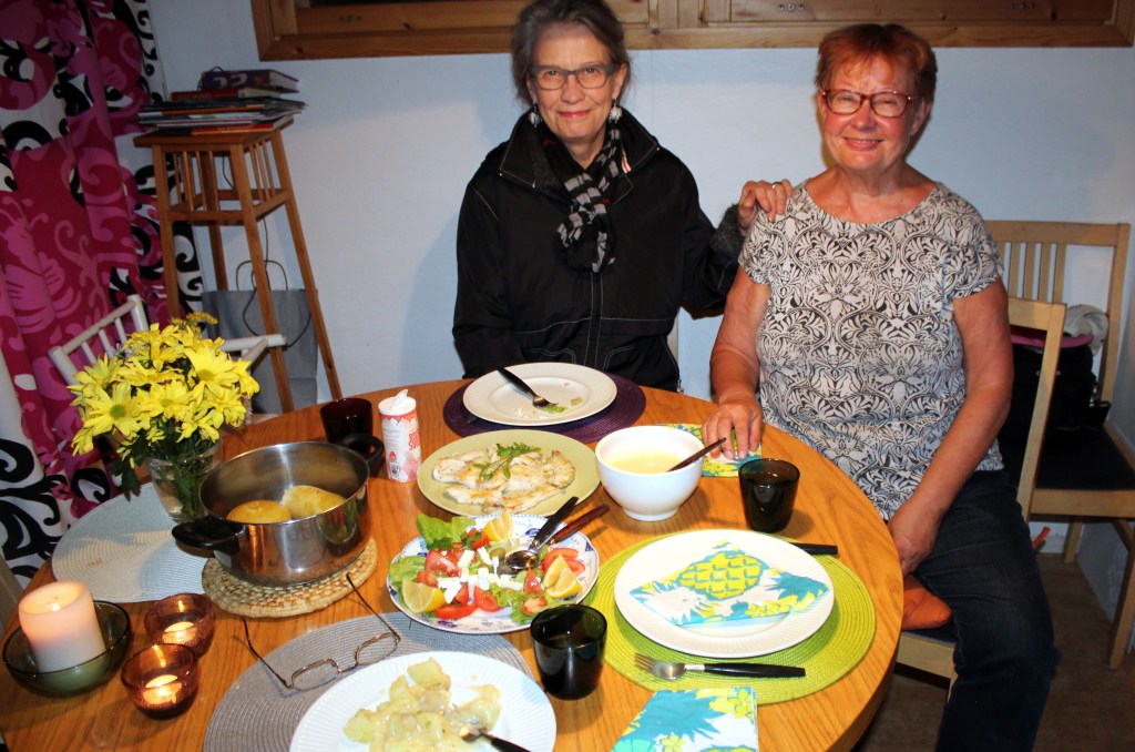 TAITEILIJASISKO MARI POIKKESI MÖKILLE