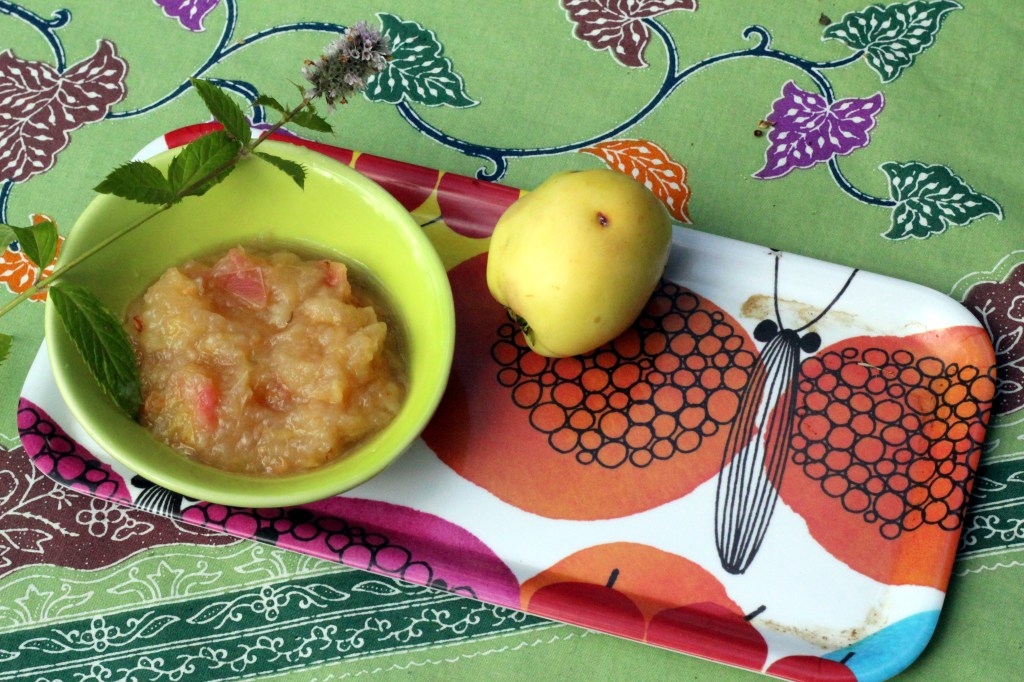 TUOKSUVAA OMENAHILLOA