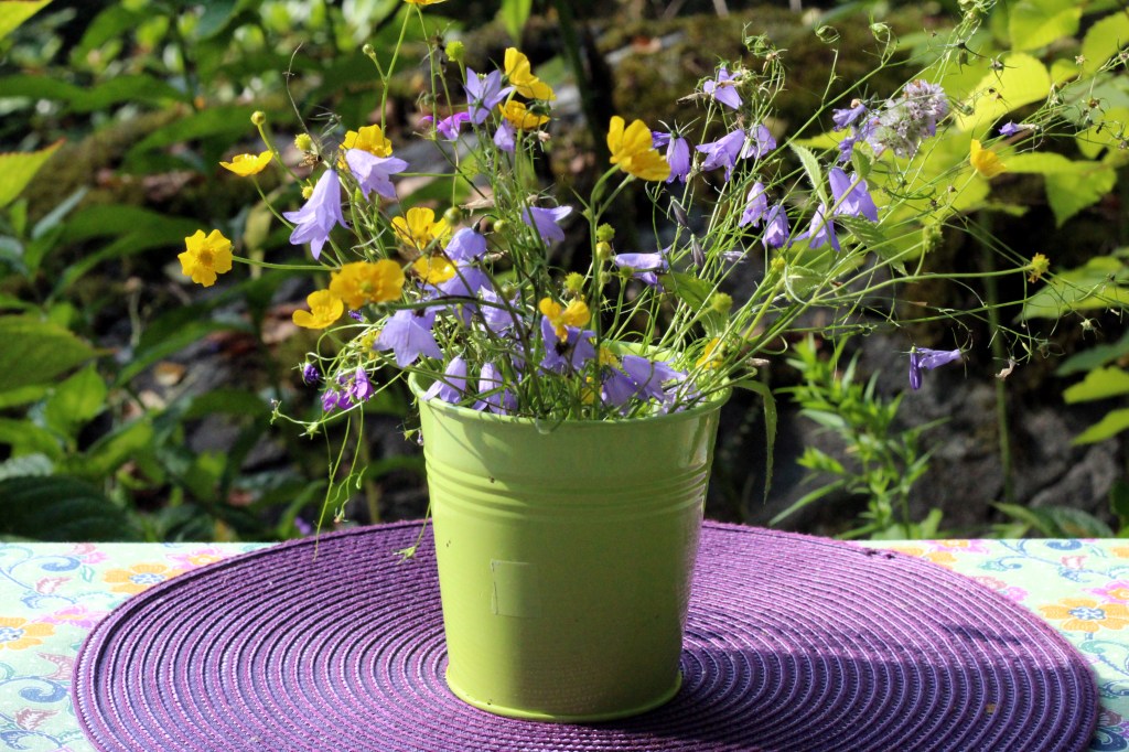 LEINIKKEJÄ JA SINIKELLOJA LÖYTYI VIELÄ SYYSKUUSSA SILMÄNILOKSI