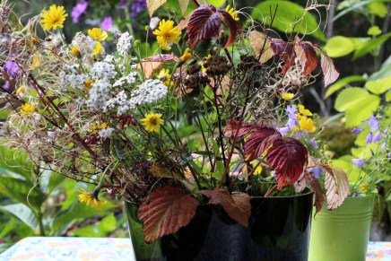 syksyn tuuli soittaa