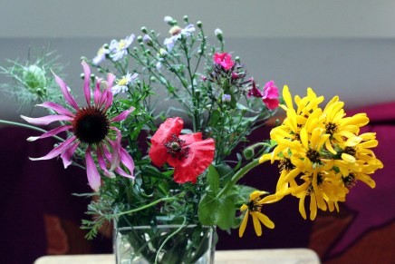 pikkukaupunkielämää