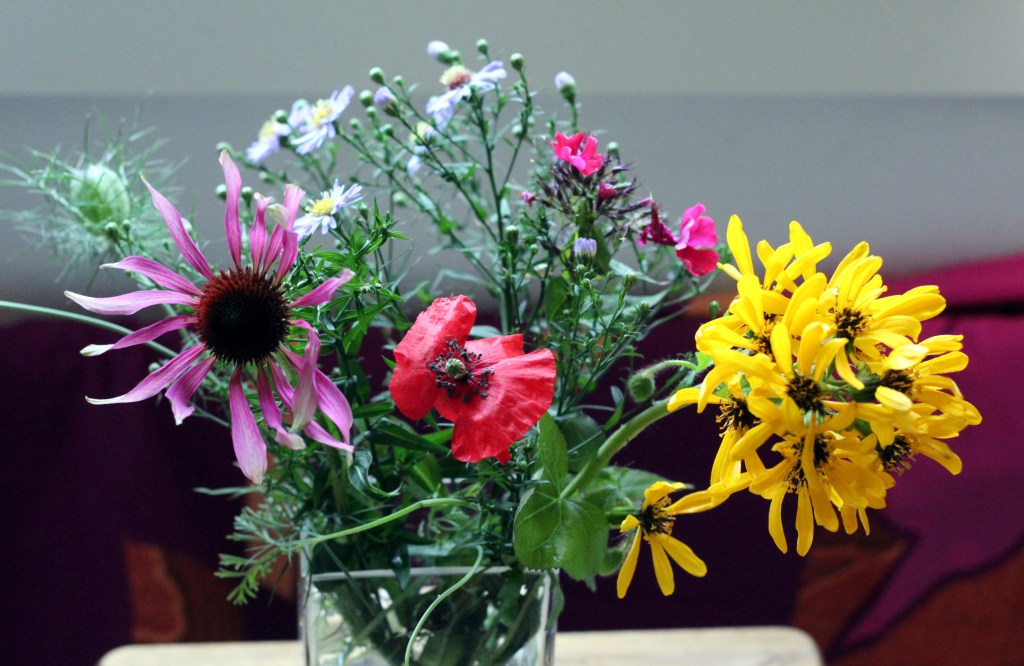 POIMIN SYYSKIMPUN MÖKKIPIHALTA