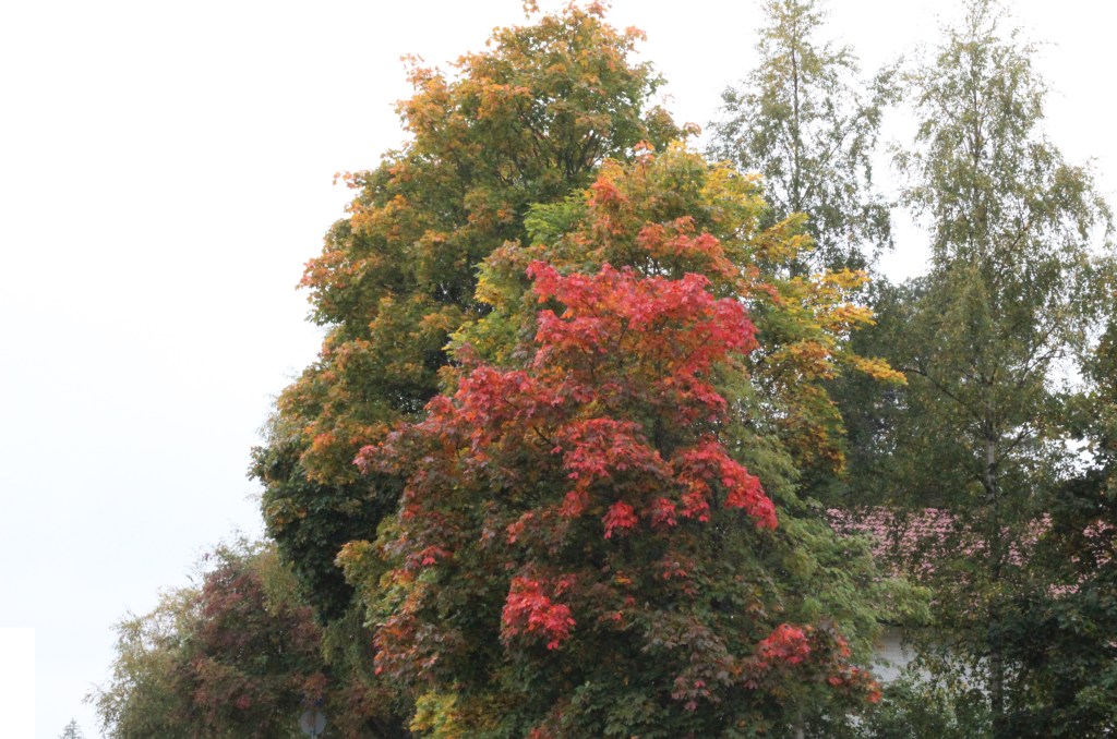 RUSKAN VÄREJÄ NÄKYY JO ETELÄ-SUOMESSAKIN