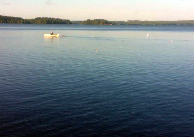 JUSSI KOKEE AAMUAURINGOSSA RAPUMERTOJA