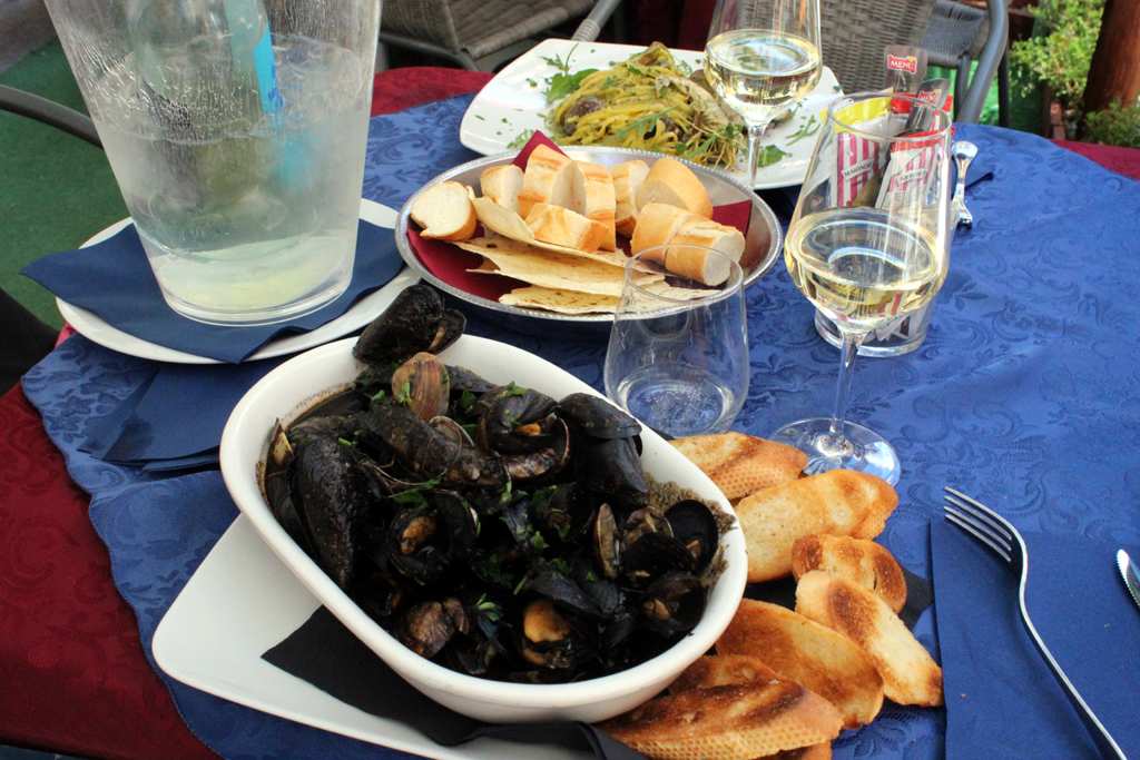 SINISIMPUKOITA MUSTEKALANMUSTEESSA