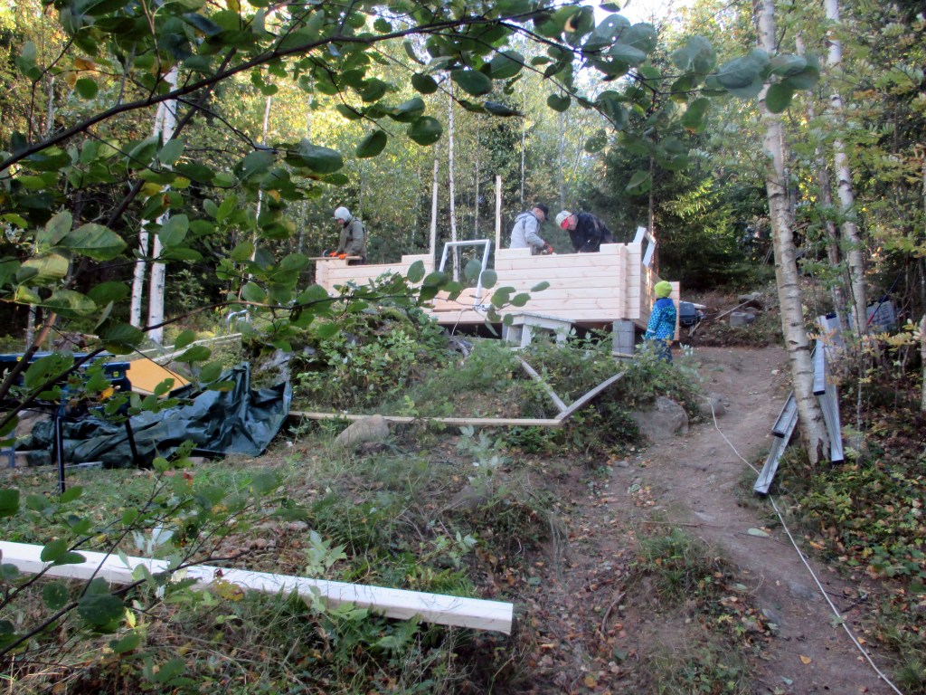 NUORIHERRA OTSO TULI TARKISTAMAAN TYÖMAAN