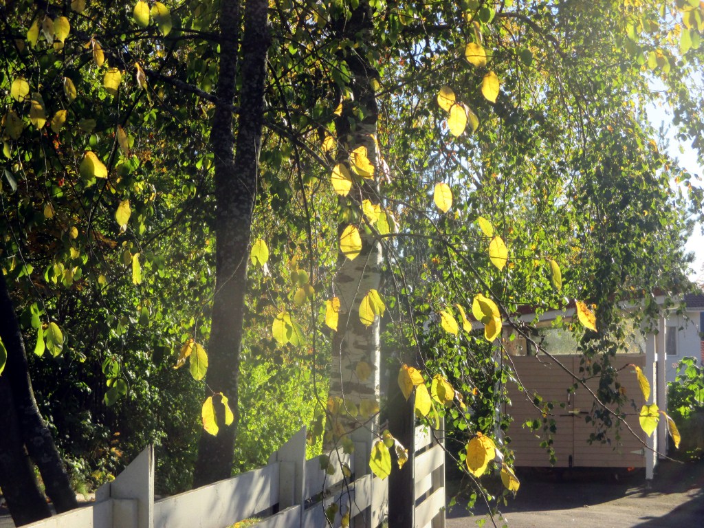 ILTA-AURINKOA KAUPUNGISSA