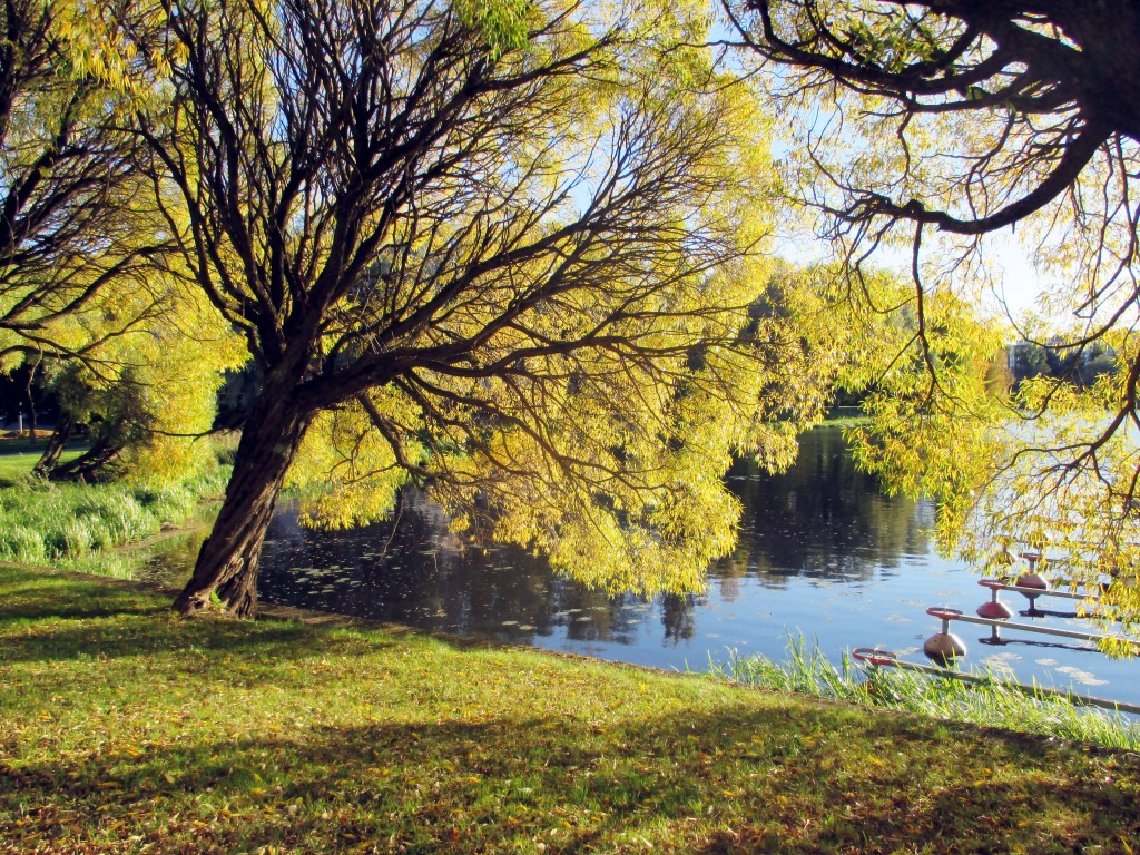 VANAJAVEDEN RANNALLA KULKEE KÄVELYTIE