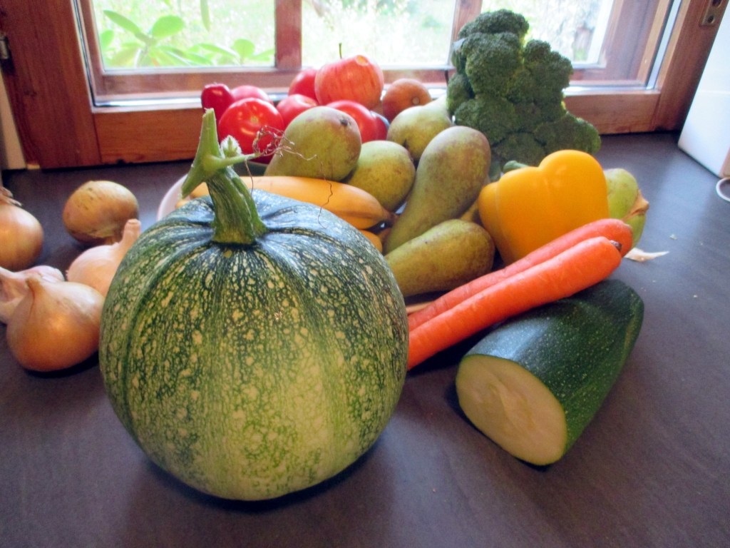 KOMEA ÖLJYKURPITSA SUORAAN KASVIMAALTA