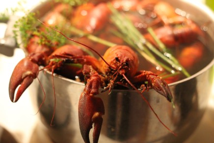 savusaunan löylyjä ja&nbsp;rapuillallinen