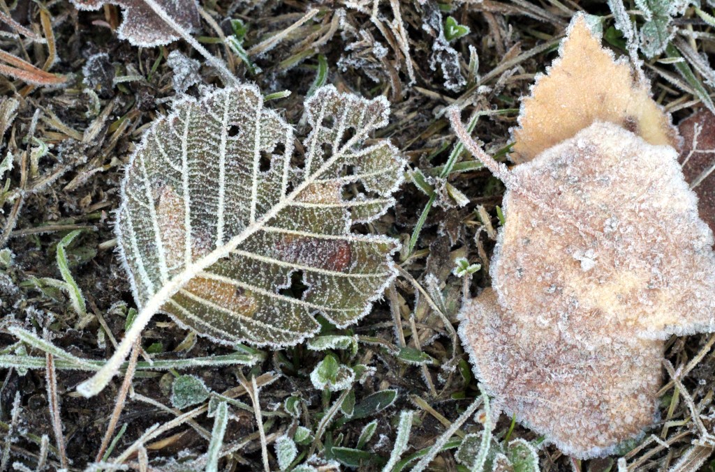 SYKSY ON KAUNIS KAUNIS