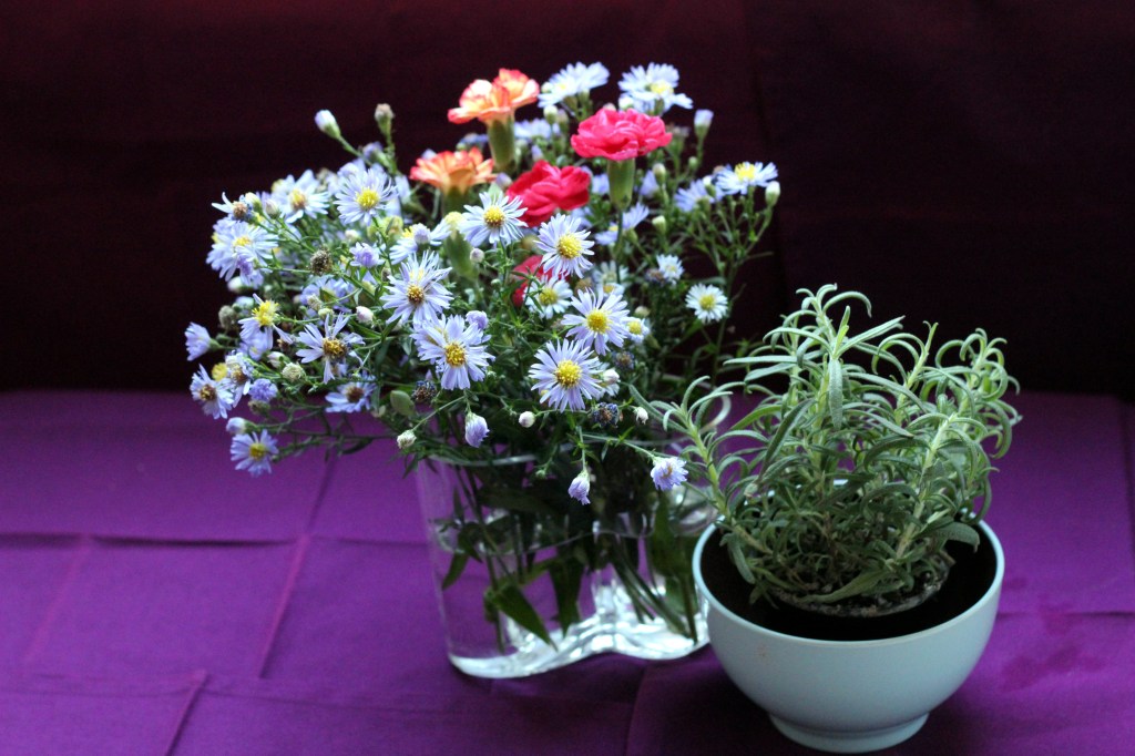 SILMÄNILOA MÖKILTÄ JA RUOKAKAUPASTA, YRTTI ON ROSMARIINI