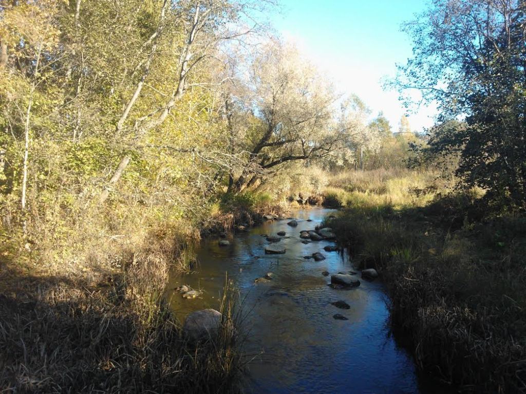 KÄVELYTIE JUNALLE LOKAKUUN AURINGOSSA