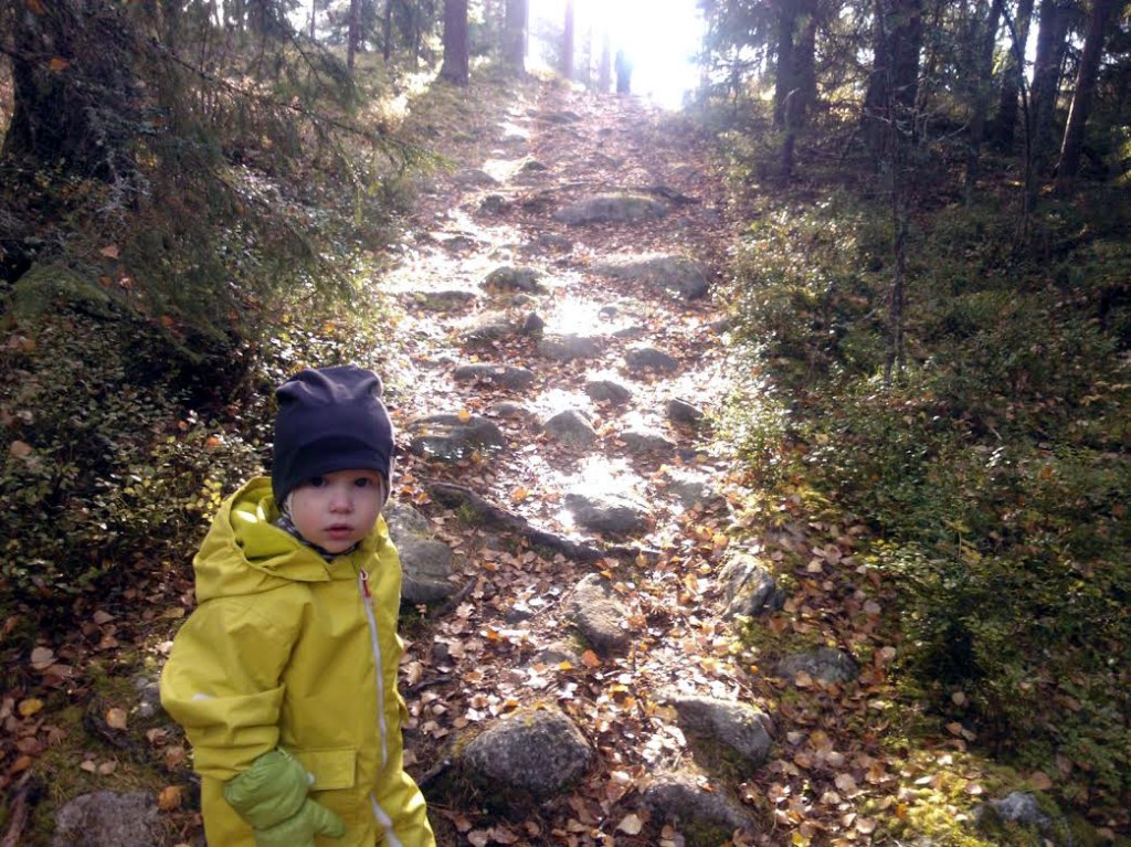 VISA POHTII, JAKSAA KIIVETÄ KIVISTÄ POLKUA KALLIOILLE