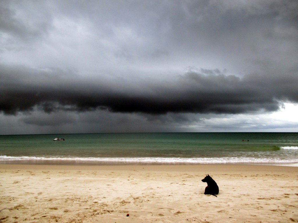 MUSTAT PILVET UHKAAVAT