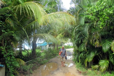 haikeat jäähyväiset boom&nbsp;baylle