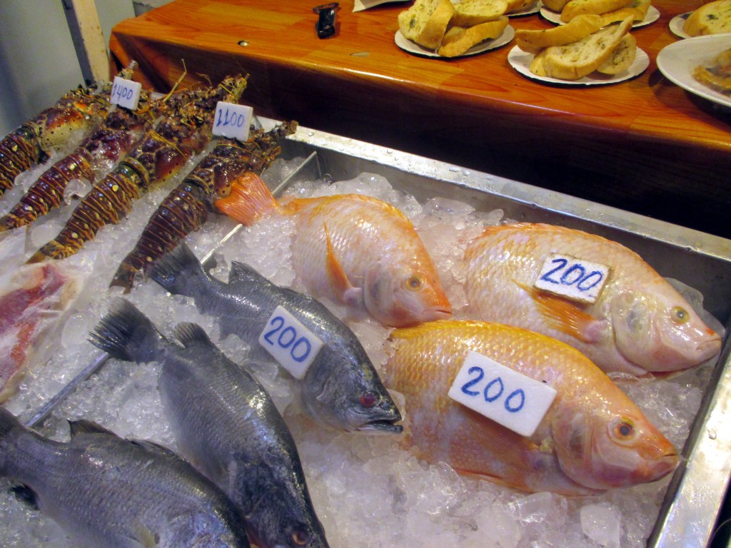 VALITSIMME RED SNAPPERIN ILLALLISEKSI