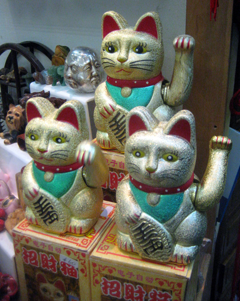 HAPPU CAT MATKASI KANSSAMME SUOMEEN