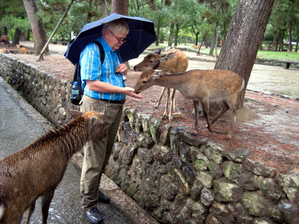 JUSSI RUOKKII KESYJÄ PEUROJA