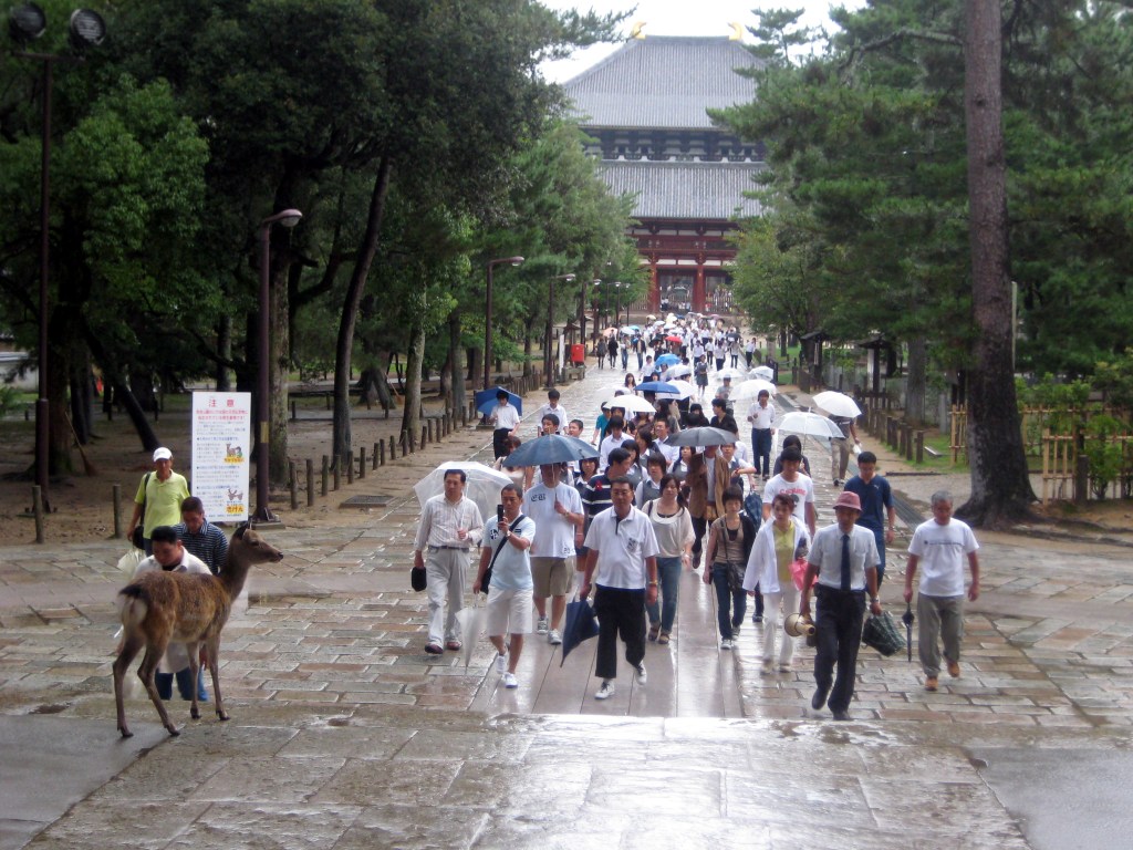 SADE EI SÄIKÄYTTÄNYT TURISTEJA