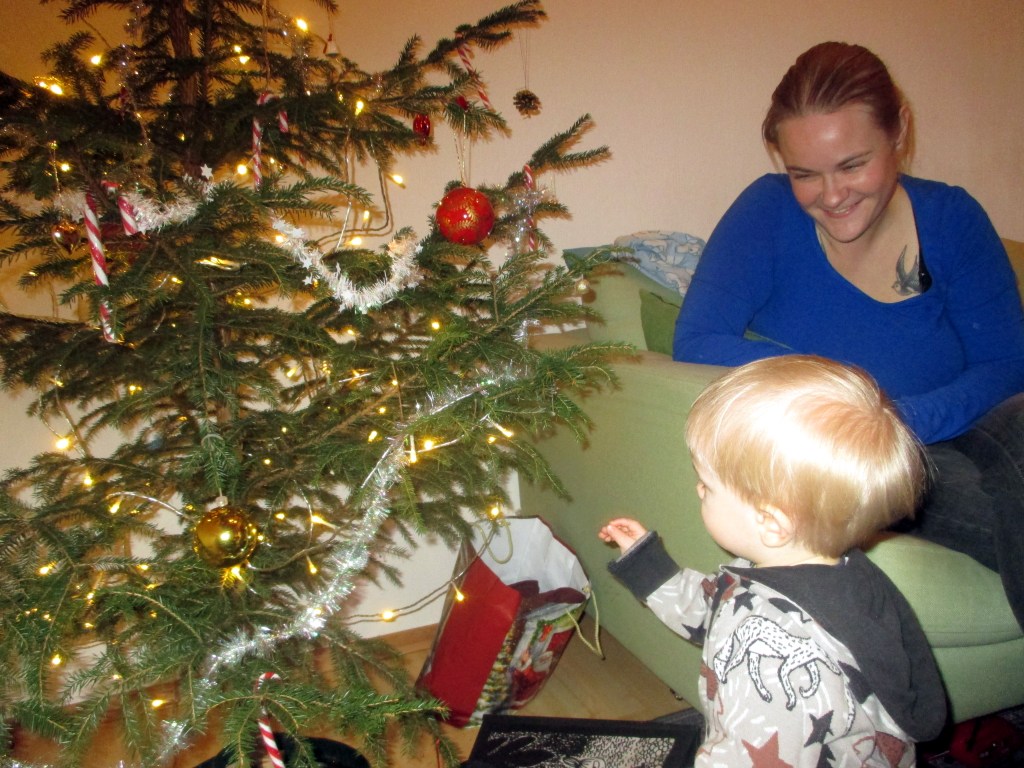 JOULUKUUSENKORISTEET KIINNOSTIVAT MISKAA