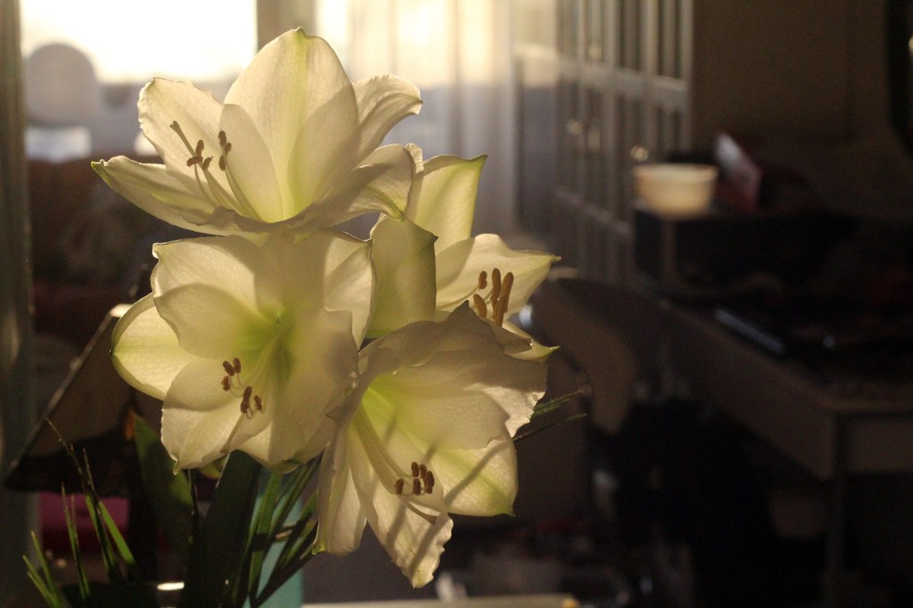 RAUHALLISTA TUNNELMAA KESTI VAIN HETKEN