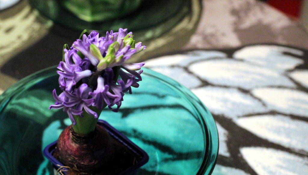 HYASINTTIEN TUOKSU HUUMAA