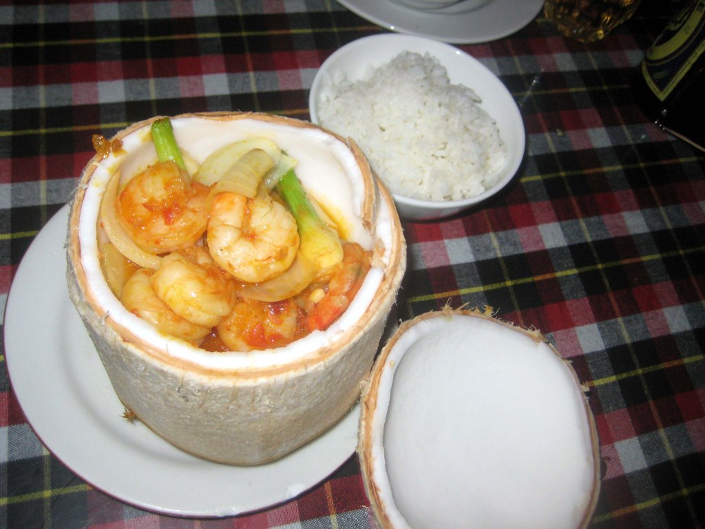 KOOKOSMAUSTEISIA JÄTTIRAPUJA