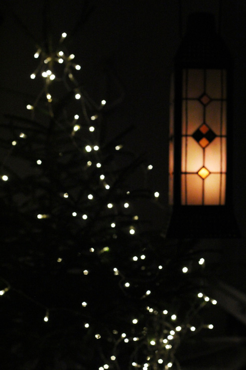 MEIDÄN JOULUKUUSI TUIKKII PARVEKKEELLA