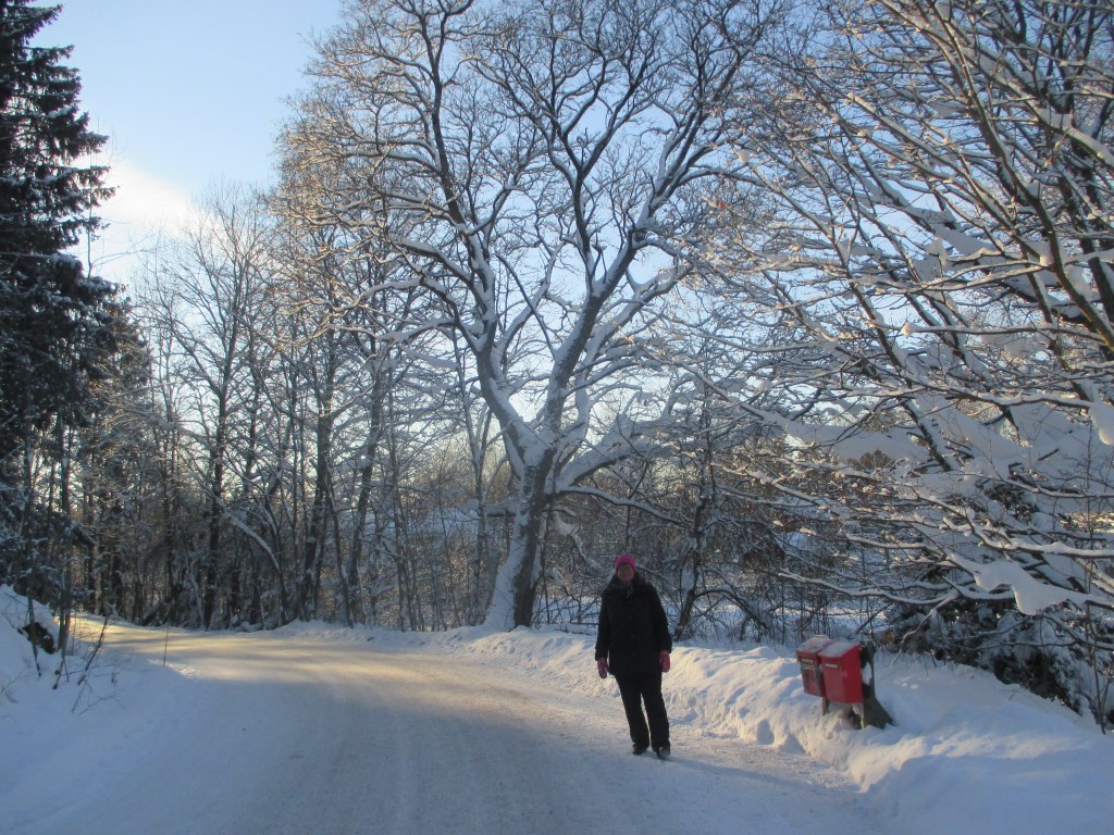LUNTA JA PAKKASTA KAUKLAHDESSA