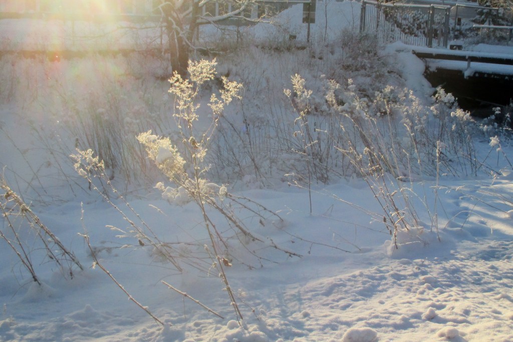 PAUKKUPAKKASETOVAT TÄLLÄ ERÄÄ OHI
