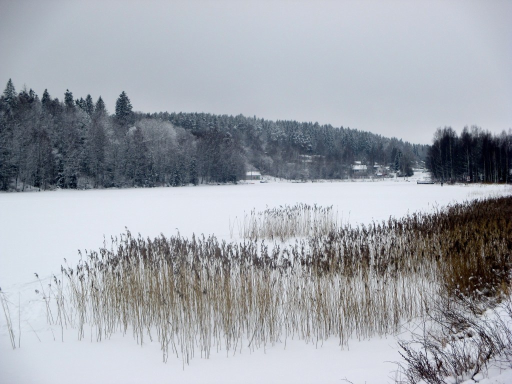 VANAJAVESI TALVIASUSSA
