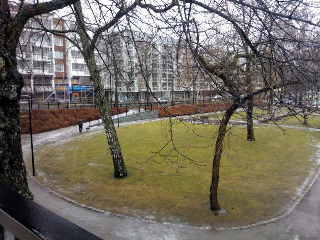 HELMIKUUN VIHREYTTÄ