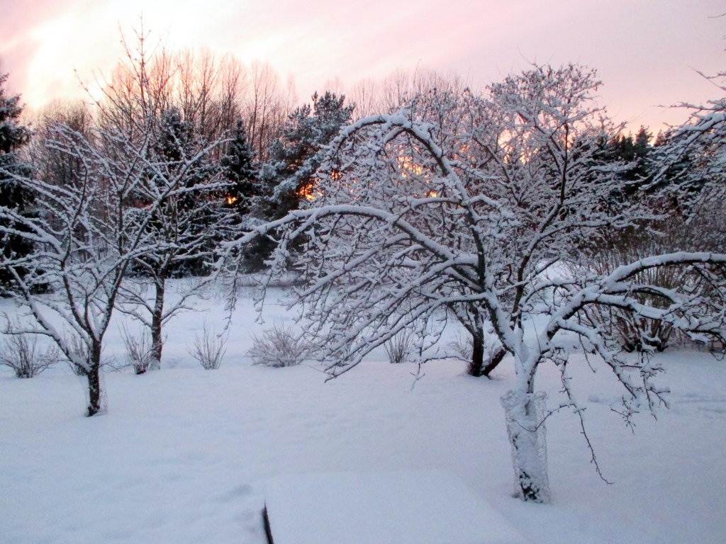 ILTAVALO KAUKLAHDESSA OLI KUULAS